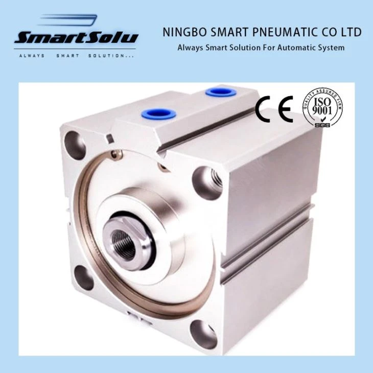 Customized Pneumatic Cylinder